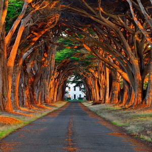 男生互摸jiji㊙️隐私漫画
